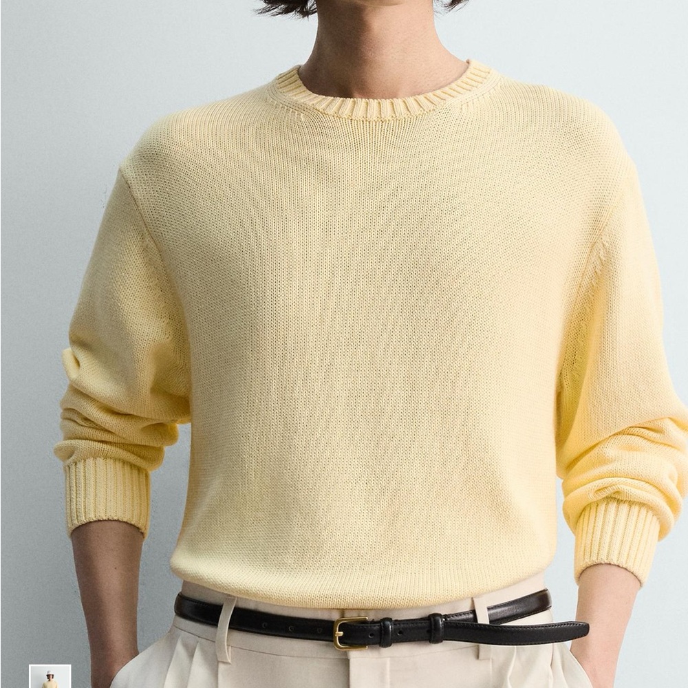 Zara Crewneck Sweater in Pale Yellow